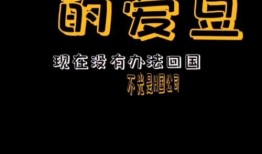 娱乐吃瓜口播文案简短,速来围观！