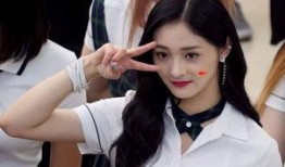 吃瓜娱乐圈周洁琼是谁,娱乐圈的瓜中明星