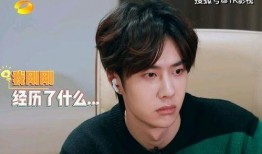 娱乐吃瓜圈王一博